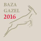 Gazele Biznesu 2016