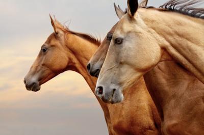 Źródło: Istockphoto