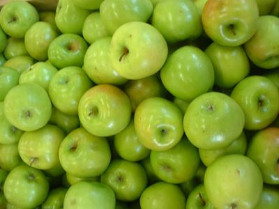 Odmiana Granny Smiths... ... ma znacznie więcej związków, które pozytywnie wpływają na mikroflorę bakteryjną jelit u myszy, niż inne popularne w USA odmiany jabłek.