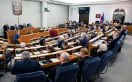 Senat miałby być lekiem na całe zło