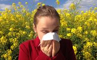 System e-Allergy wstępnie zdiagnozuje alergię