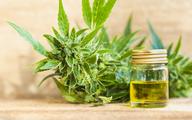 Czy medyczna marihuana jest dostępna dla polskich chorych?