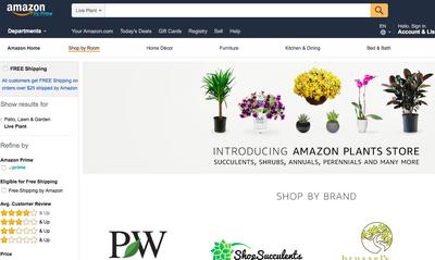 Amazon Plants Store