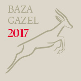 Gazele Biznesu 2017