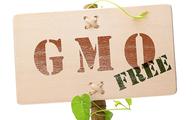Bayer przejmuje Monsanto, ale nie będzie nowych upraw GMO w Europie
