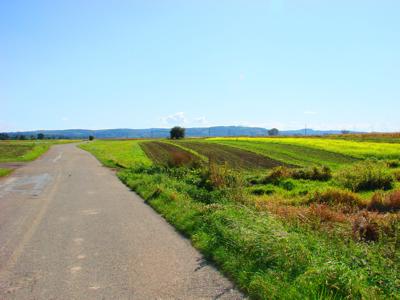 Rolnictwo, pola, działki
