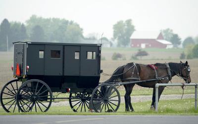 Czas się zatrzymał? Amisze nadal używają do transportu powozów i koni, które stały się już symbolem wspólnot fot. iStock