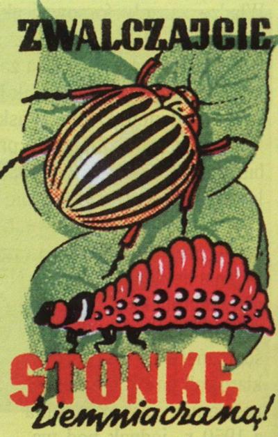 Plakat propagandowy z lat 50.