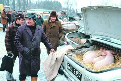 Popyt i podaż: Kartki na mięso wprowadzono w PRL 28 lutego 1981 r., a reglamentacja tego towaru trwała 8 lat. Średni czas oczekiwania w kolejkach wynosił 6-8 godzin, dlatego kwitła szara strefa, która osiągała wielkość nawet połowy oficjalnego obrotu.