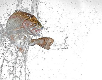 Fot. iStock