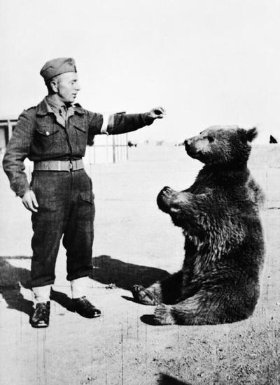 Wojtek z polskim żołnierzem.