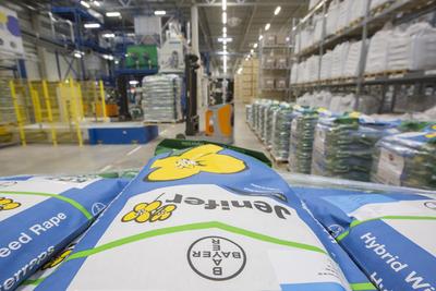 Bayer