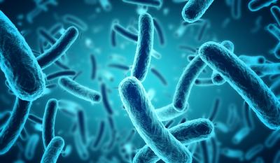 Probiotyki mają udowodnioną skuteczność kliniczną jako terapia osłonowa antybiotykoterapii o szerokim spektrum działania.