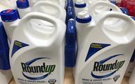 Monsanto zapłaci gigantyczne odszkodowanie