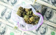Marihuana zyskała status koszernej w NY