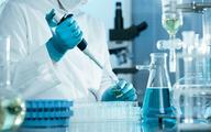 Wirus Zika w USA: zakażonych 9 kobiet w ciąży