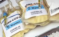 Biomed Lublin: mamy pierwszy na świecie skuteczny lek na COVID-19, wyprodukowany z osocza