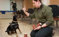 Dogoterapia i hipoterapia na UWM