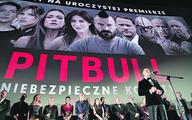Polacy tłumnie ruszyli do kin
