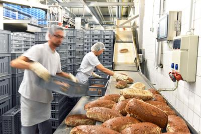 PROCENTY
I MILIARDY: Sektor produkcji pieczywa i świeżych wyrobów ciastkarskich
odpowiada za około 4,5 proc. łącznych przychodów krajowej branży spożywczej —
wyliczył Santander Bank Polska. Obroty firm zatrudniających więcej niż
dziewięciu pracowników wyniosły w zeszłym roku około 10 mld zł.