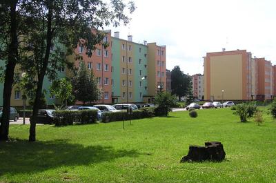 FOT. mzacha/RGB Stock