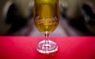 AB InBev walczy o Budweisera