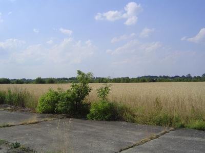 Szprotawa