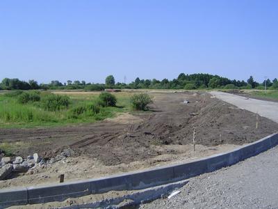 Witnica