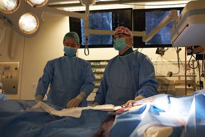 Zabieg przezcewnikowej implantacji zastawki pnia płucnego