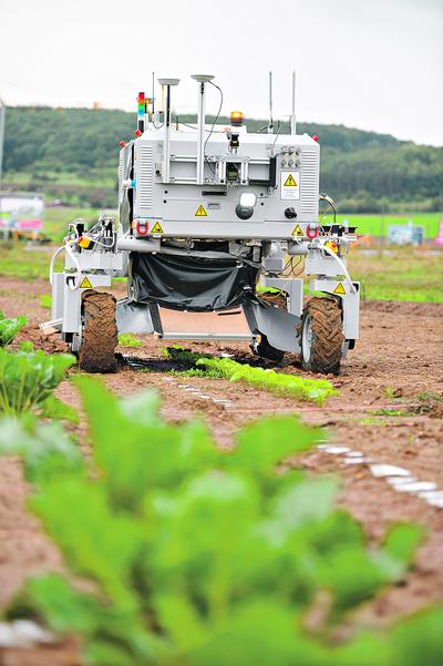 ELEKTRONICZNY POMOCNIK: Za sprawą technologii automatycznego rozpoznawania obrazu Bonirob, czyli nowoczesny robot rolniczy, rozwijany w inkubatorze Boscha, „uczy się” rozpoznawać konkretne gatunki roślin i pomaga w ich uprawie. W Niemczech maszynę już uznano za jedną z najciekawszych innowacji w dziedzinie ogrodnictwa.