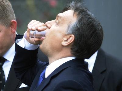 WYSOKOPROCENTOWE BARIERY Węgry, których premierem jest Viktor Orban, sypią kłody pod nogi importowanym alkoholom mocnym, wspierając tym samym swoją palinkę — narzeka nasza branża.