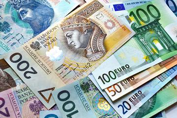 Kurs euro stanął w miejscu