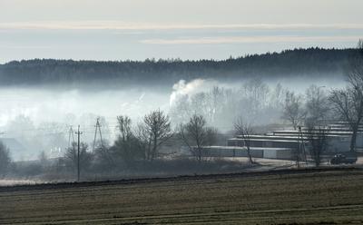 Smog, zanieczyszczenie powietrza, palenie śmieci