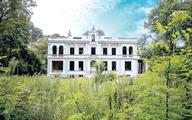 Z Willi Biruta do aresztu