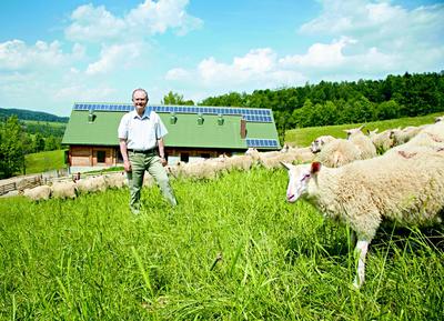 Roman Kluska, założyciel Optimusa, dziś hoduje owce w Beskidach i liczy na zyski z produkcji serów. (fot. ARC)