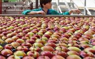 Nowe oznaczenia i sankcje dotyczące GMO