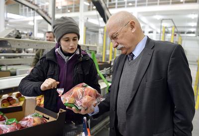DYWERSYFIKACJA NIE POMOGŁA : We wrześniu 2017 r. Roman Jagieliński, prezes
Grupy Producentów Owoców Roja, przyznawał, że sadownicy próbują walczyć ze
słabnącym biznesem jabłkowym dywersyfikując produkcję. Do oferty dokładają
maliny, śliwki i borówki amerykańskie, na które jest większy popyt niż na
jabłka. Roja straciła jednak płynność i czeka na decyzję o upadłości likwidacyjnej.