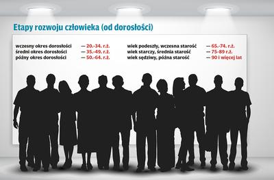 Etapy rozwoju człowieka (od dorosłości)