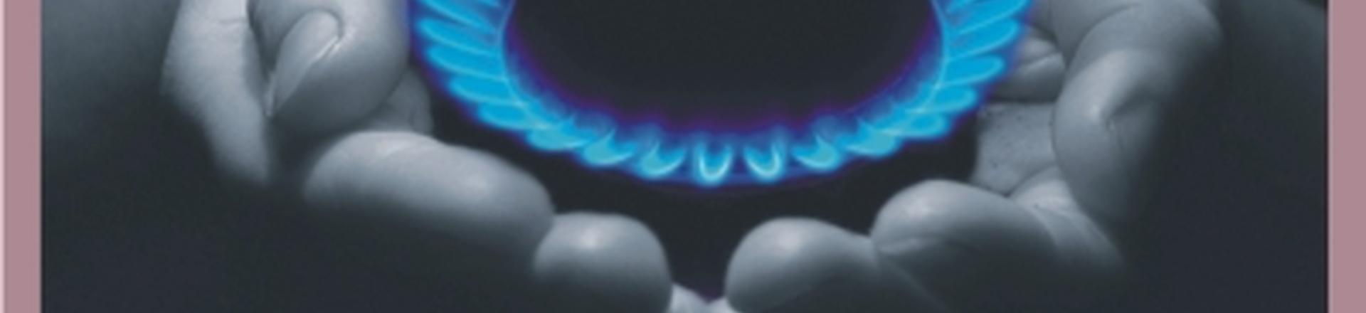 Shale Gas Development