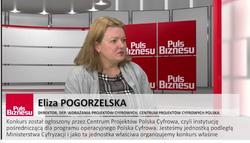 Wywiad z dyrektorem DWPC nt. konkursu Programu Polska Cyfrowa